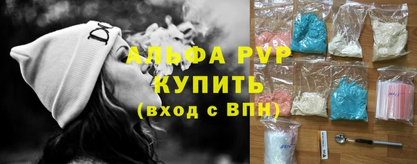 прущие грибы Белокуриха